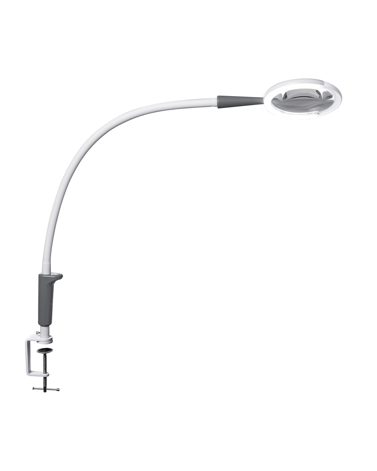 25095 Magnificent Pro on Clamp