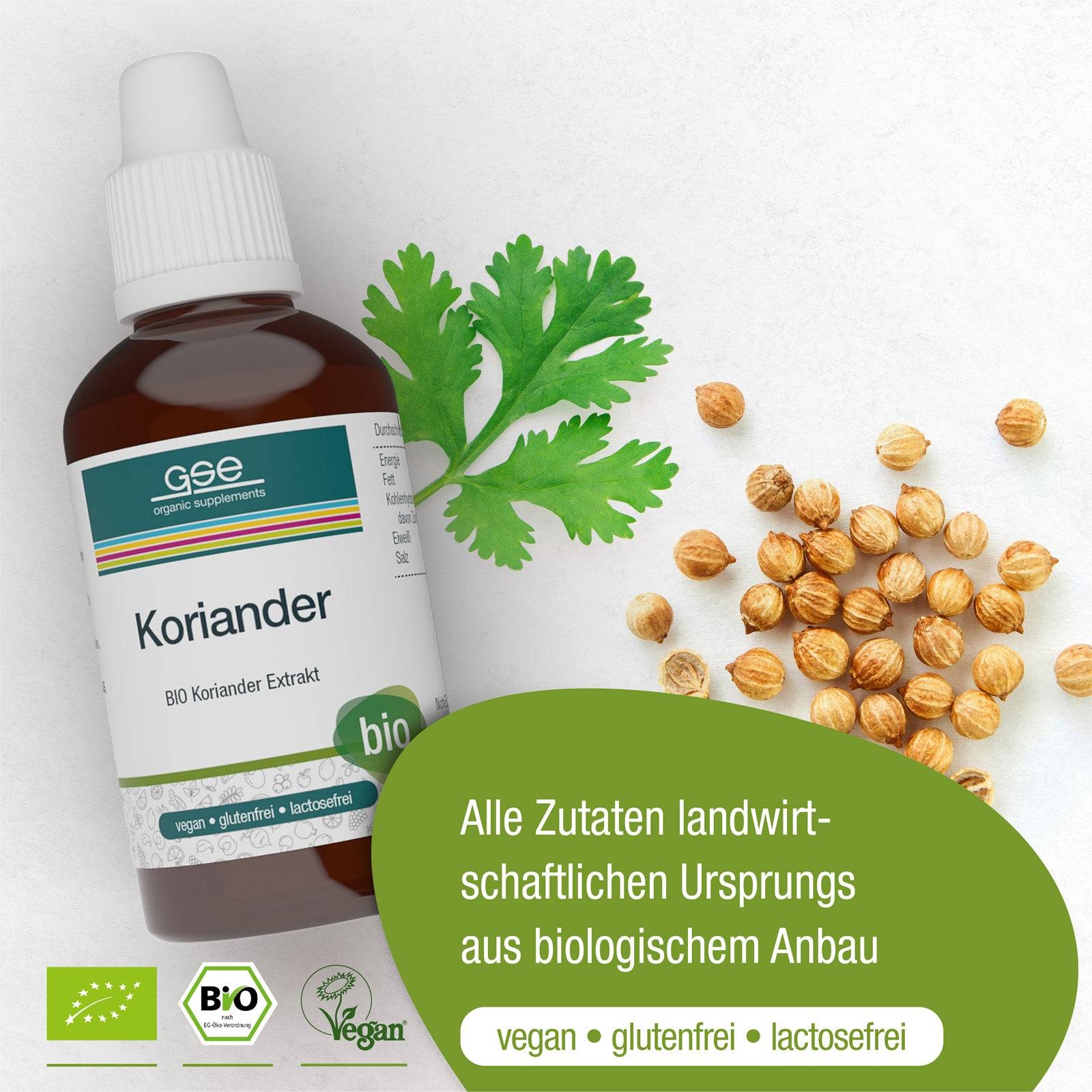 Eine Flasche gse.organic.supplements Koriander-Extrakt (Bio) steht neben frischen Korianderblättern und -samen. Das grüne Etikett zeigt, dass alle Zutaten biologisch, vegan, glutenfrei und laktosefrei sind – perfekt für Entschlackungs- und Ausleitungskuren.