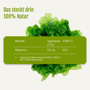 Der grüne Text lautet: „Das steckt drin – 100 % Natur“. Darunter zeigt eine Tabelle die tägliche Magnesiumzufuhr (250 mg, 66 % NRV) aus 2 Tabletten „Magnesium (Bio)“ von gse.organic.supplements. Im Hintergrund sind grüne Blattalgen abgebildet, die die Quelle des natürlichen Magnesiums hervorheben. Im Kleingedruckten wird der NRV als Nährstoffreferenzwert erläutert und über den täglichen Magnesiumbedarf informiert.