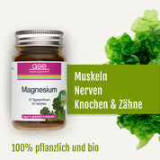 Auf dem Bild ist eine Glasflasche mit „gse.organic.supplements Magnesium (Bio)“-Tabletten vor dem Hintergrund grüner Blätter zu sehen. Der deutsche Text hebt die Vorteile für Muskeln, Nerven, Knochen und Zähne hervor und weist darauf hin, dass das Produkt zu 100 % pflanzlich und biologisch ist. Diese Bio-Magnesium-Ergänzung enthält Magnesium aus Grünalgen und bietet eine natürliche Quelle dieses essenziellen Minerals.