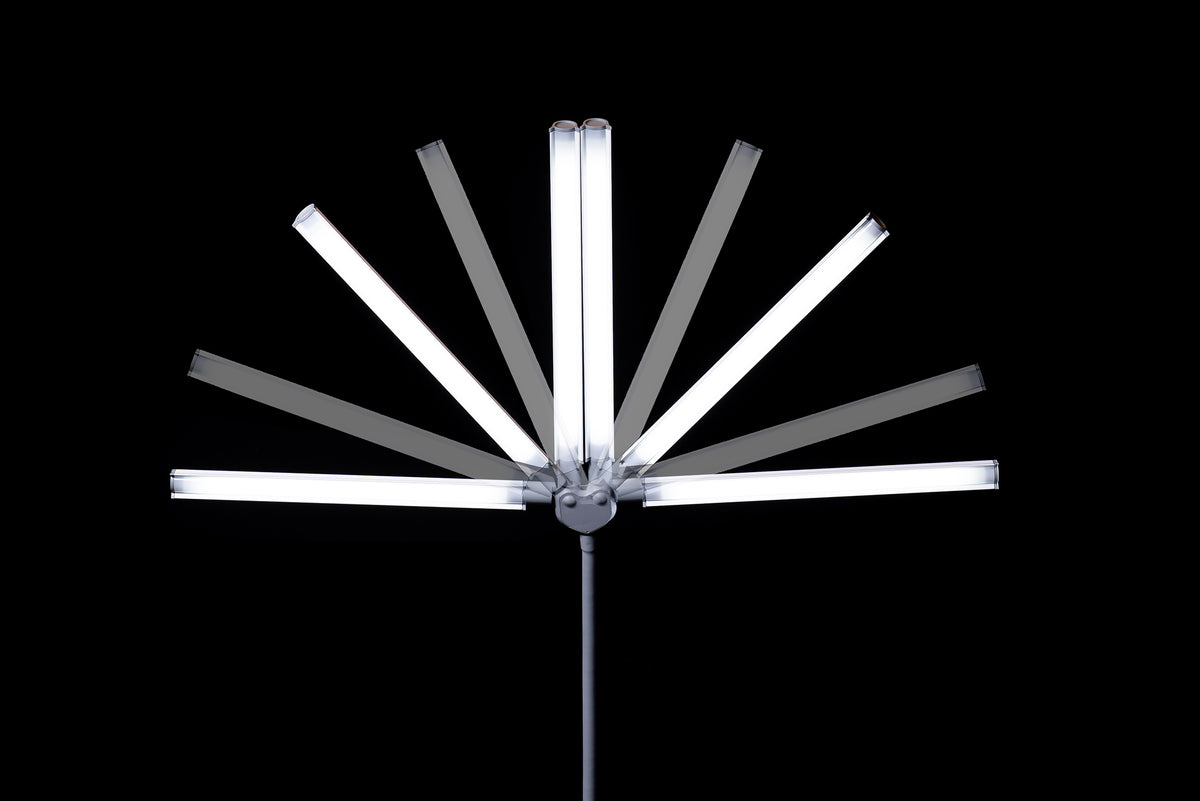DuoPro Table Lamp