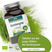 Eine braune Glasflasche mit der Aufschrift „Gerstengras Tabletten (Bio)“ von gse.organic.supplements, mit grünen Akzenten, umgeben von Gerstengras und Pulver. Eigenschaften: vegane, biologische, laktosefreie Tabletten aus jungen Gerstenblättern, hoher Nährstoffgehalt, kontrollierter Anbau.