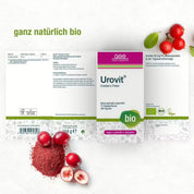 Urovit®-Cranberry Kapseln (Bio) von gse.organic.supplements ist ein veganes, gluten- und laktosefreies Nahrungsergänzungsmittel mit Bio-Cranberrypulver. Die deutsche Verpackung enthält Angaben zum Proanthocyanidin-Gehalt und Zertifizierungen und garantiert so höchste Qualität.