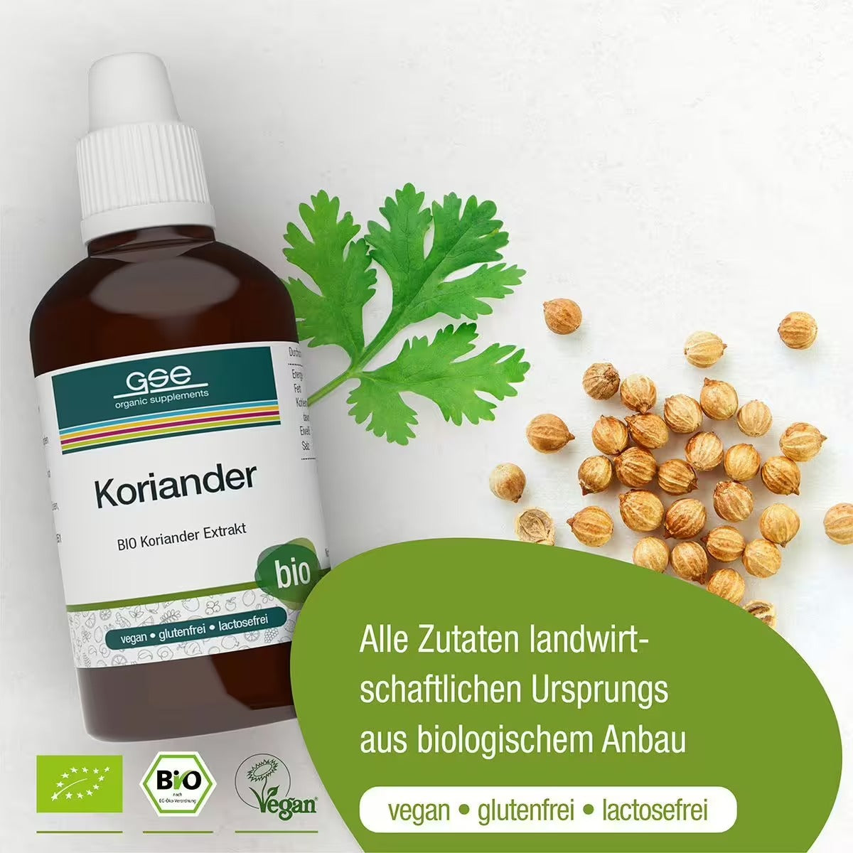 Eine Flasche gse.organic.supplements Koriander-Extrakt (Bio) ist mit frischen Korianderblättern und -samen abgebildet, was auf die biologische Herkunft, die Eignung für Entgiftungskuren und die Tatsache hinweist, dass das Produkt vegan, glutenfrei und laktosefrei ist.